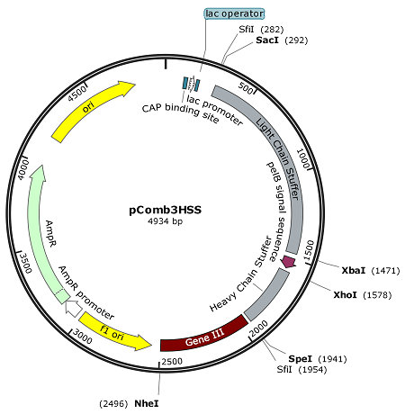 pComb3HSS map