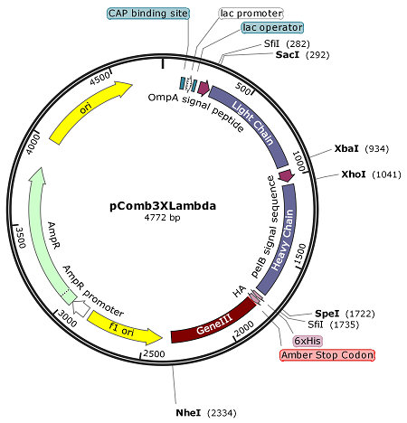 pComb3XLambda map